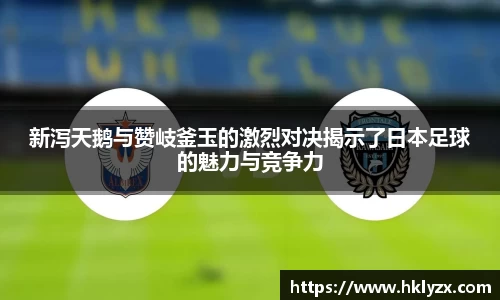 Lewin乐玩